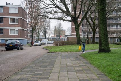 20231213 Bakje In De Buurt Noordoost Amaryllis Mark Grupstra 005